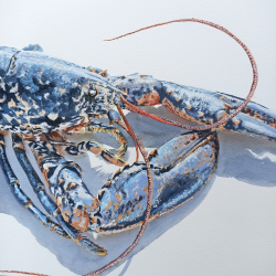 JM Misslen - Homard Breton - détails
