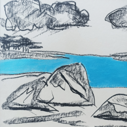 Audrey Hemery - Les rochers de la plage - détails