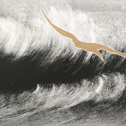 Danièle Jego - L'Oiseau d'Or - détails