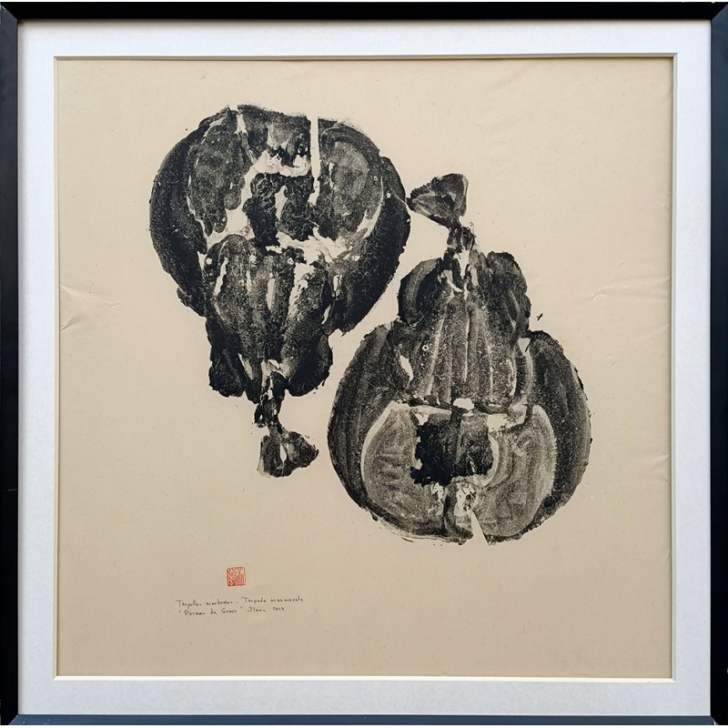Gyotaku " Torpilles marbrées "