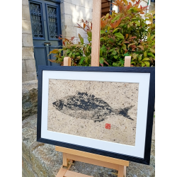 Gyotaku - Bogue - rue