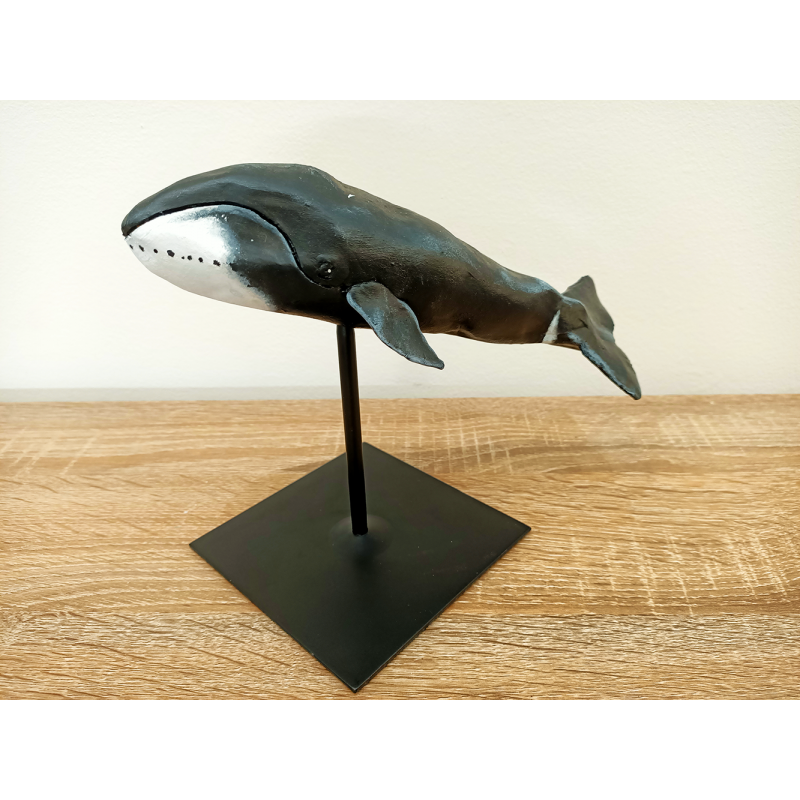 Baleine Boréale - gauche