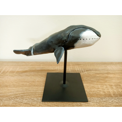 Baleine Boréale - droite